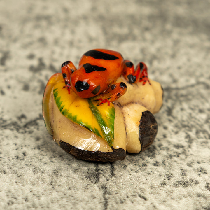 Orange And Black Poison Dart Frog Tagua Carving