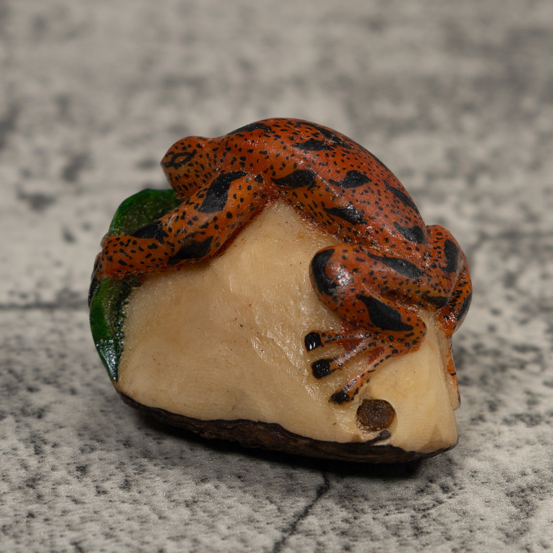 Vintage Red Black And Green Frog Tagua Carving