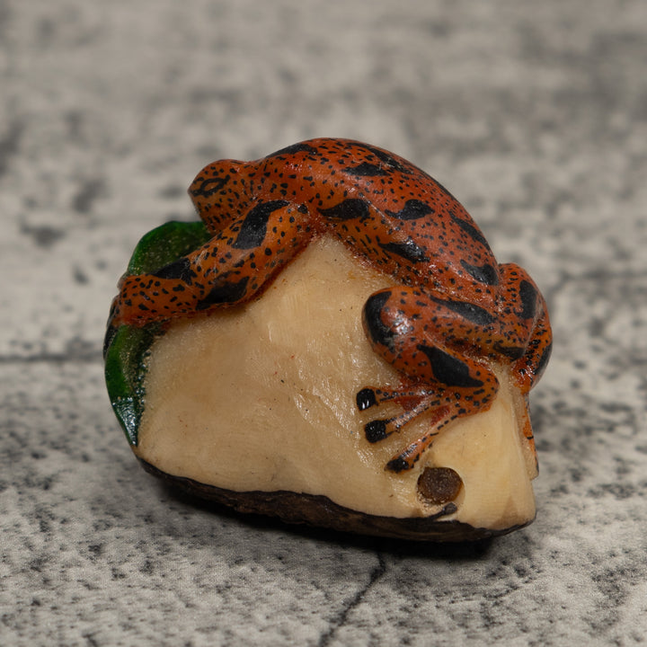 Vintage Red Black And Green Frog Tagua Carving
