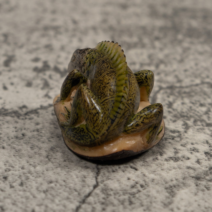 Iguana Lizard Reptile Tagua Carving