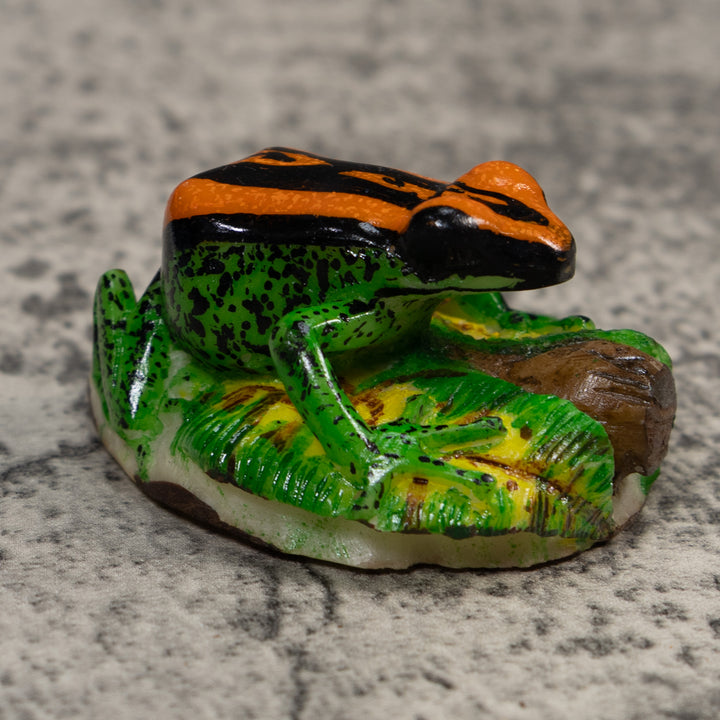 Orange Green And Black Poison Dart Frog Tagua Carving