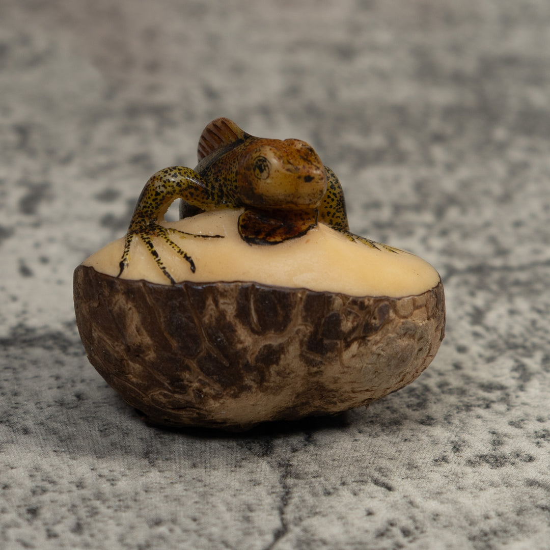 Brown And Black Iguana Lizard Tagua Carving