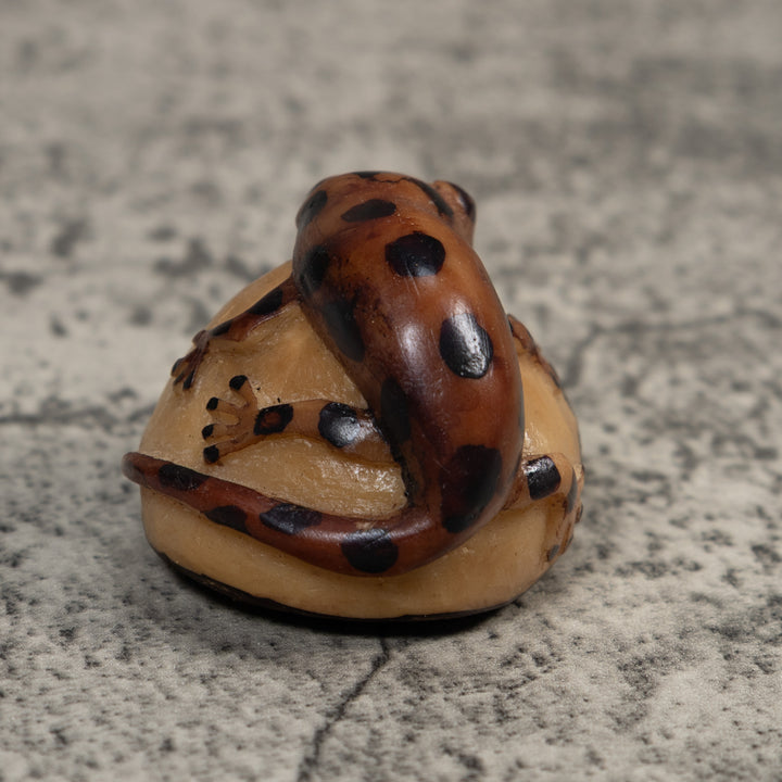 Brown And Black Gecko Lizard Tagua Carving