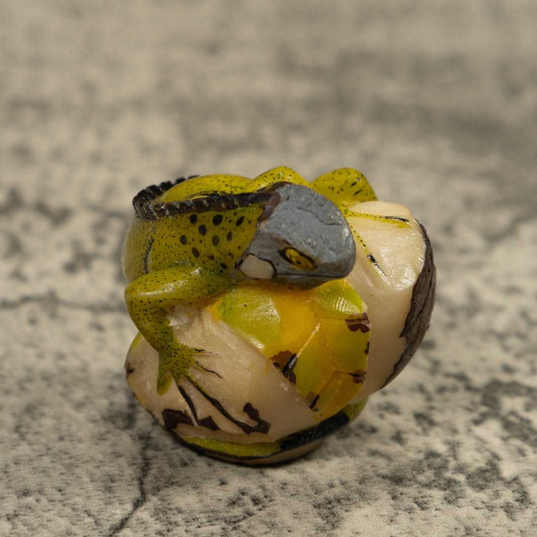Iguana Lizard Reptile Tagua Carving
