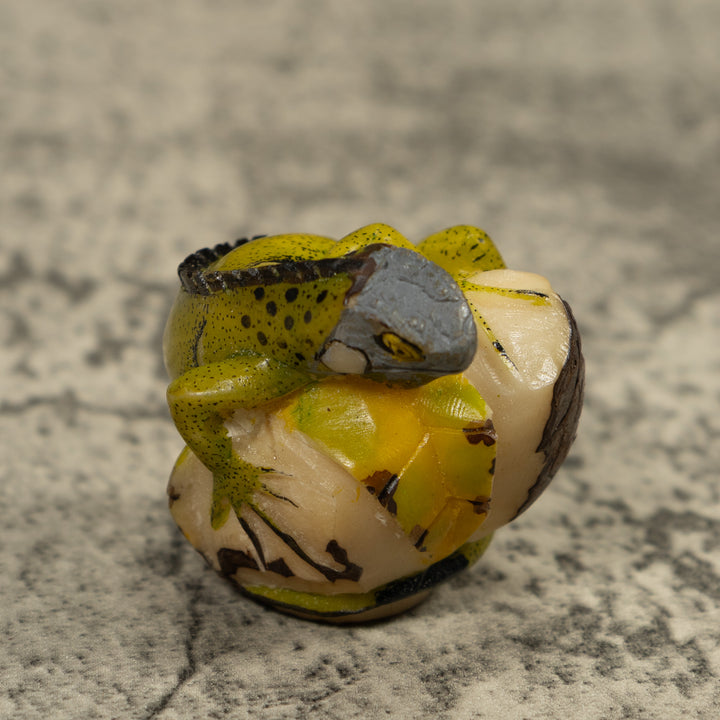 Iguana Lizard Reptile Tagua Carving