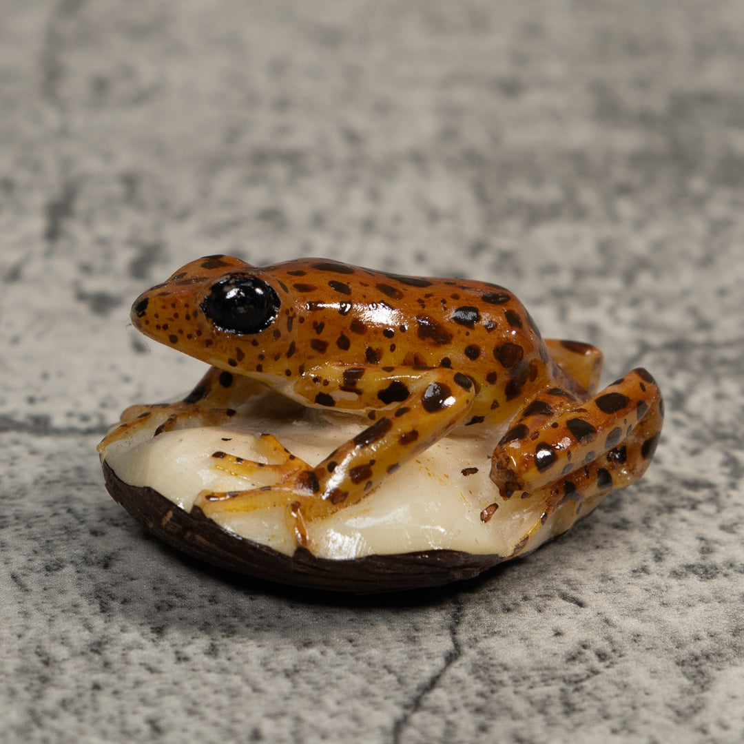 Brown And Black Jungle Frog Tagua Carving