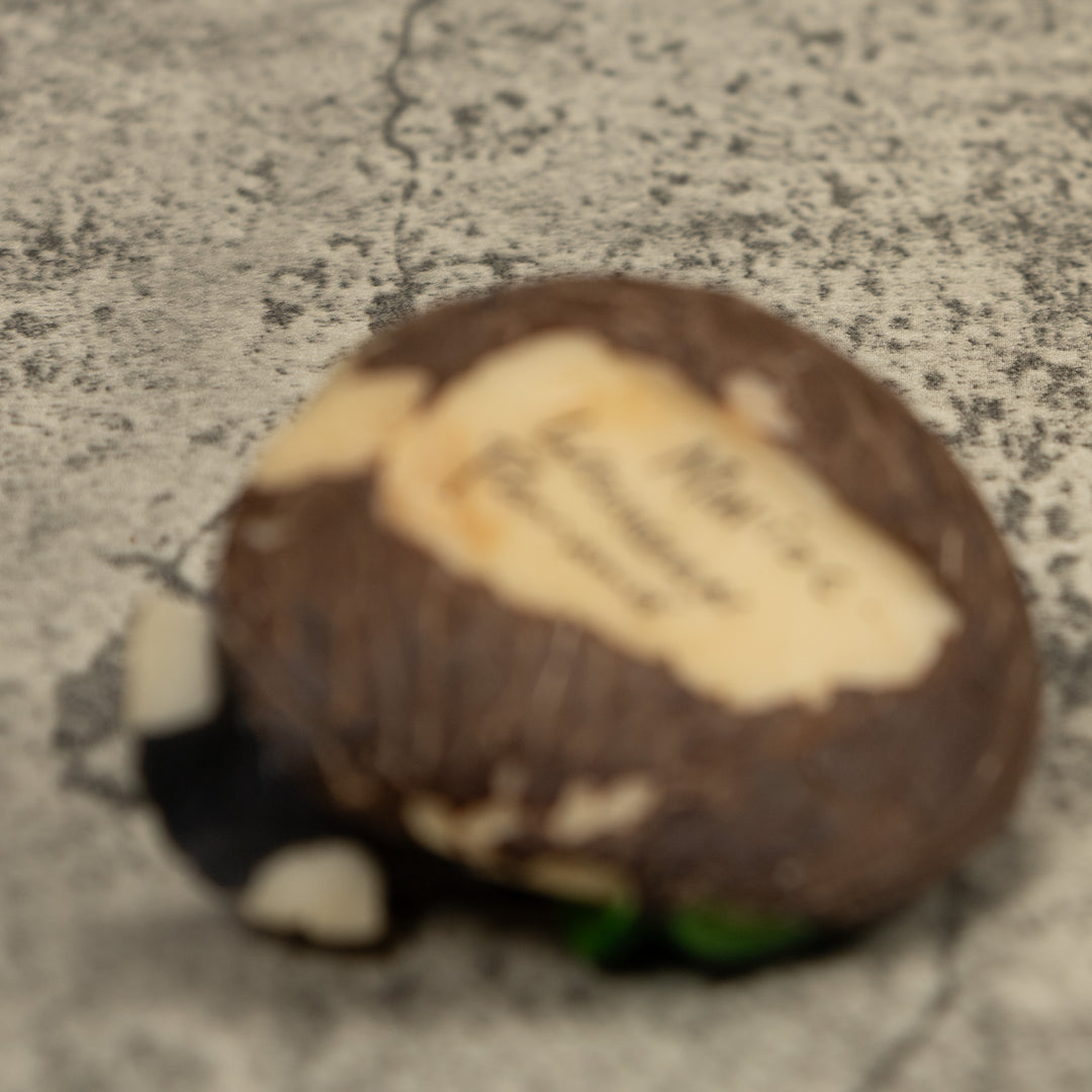 Hummingbird Tagua Carving