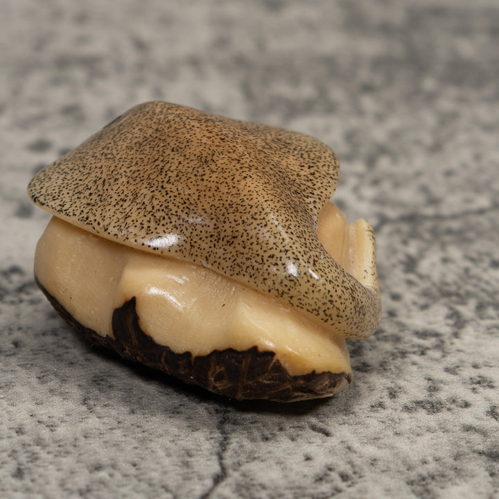 Vintage Stingray Tagua Carving