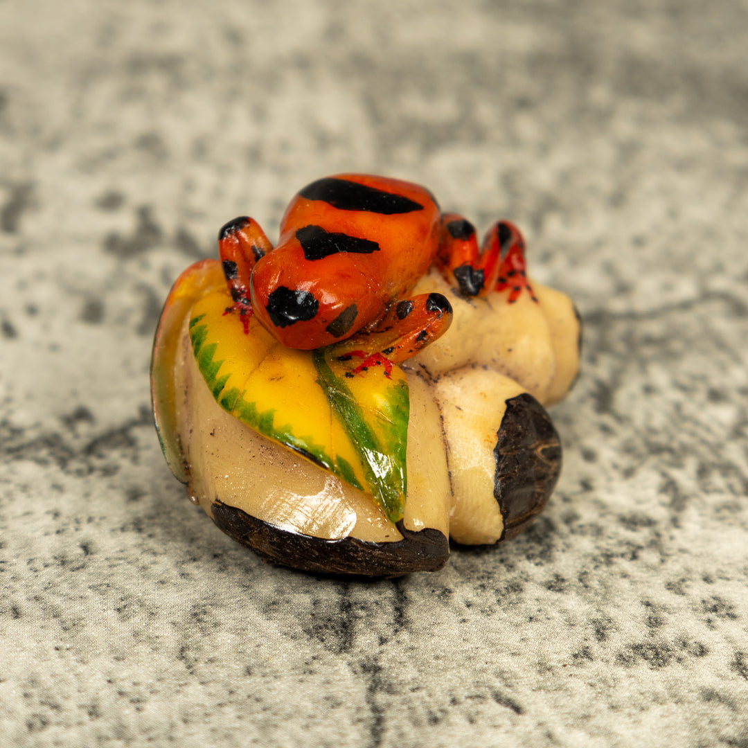 Orange And Black Poison Dart Frog Tagua Carving