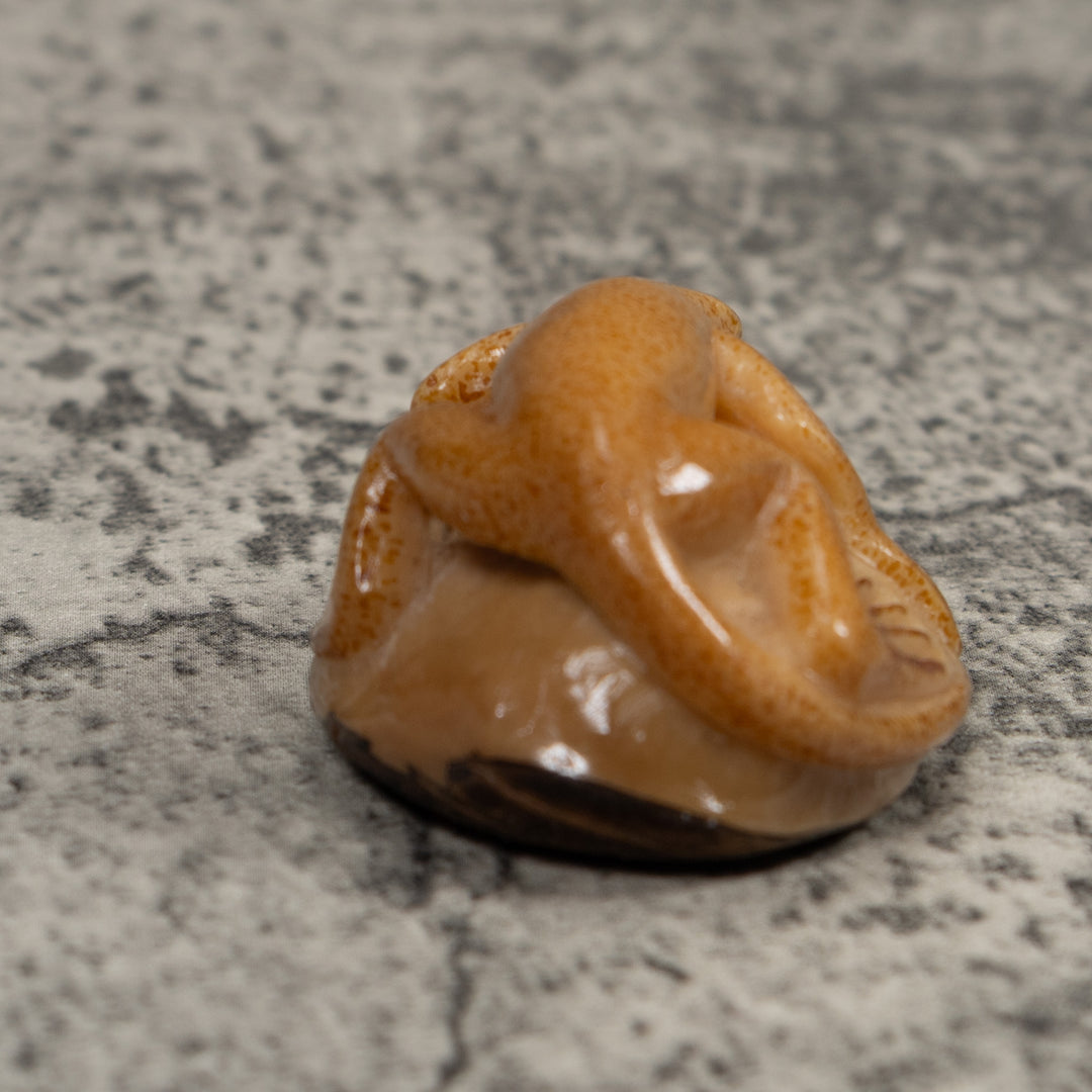 Vintage Gold And Brown Frog Tagua Carving