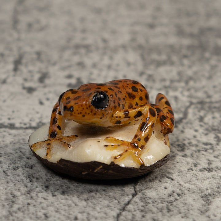 Brown And Black Jungle Frog Tagua Carving