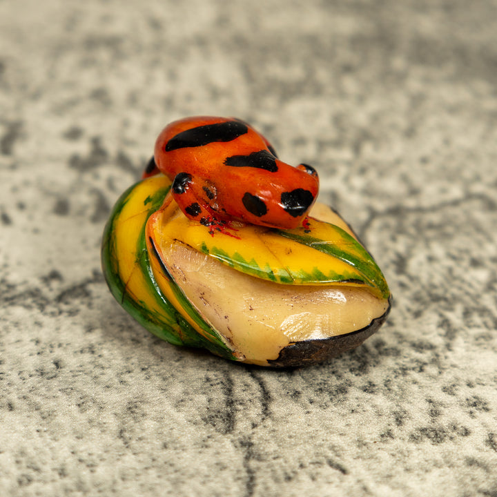 Orange And Black Poison Dart Frog Tagua Carving