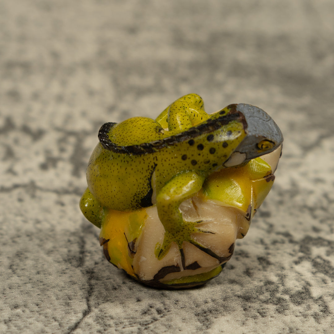 Iguana Lizard Reptile Tagua Carving