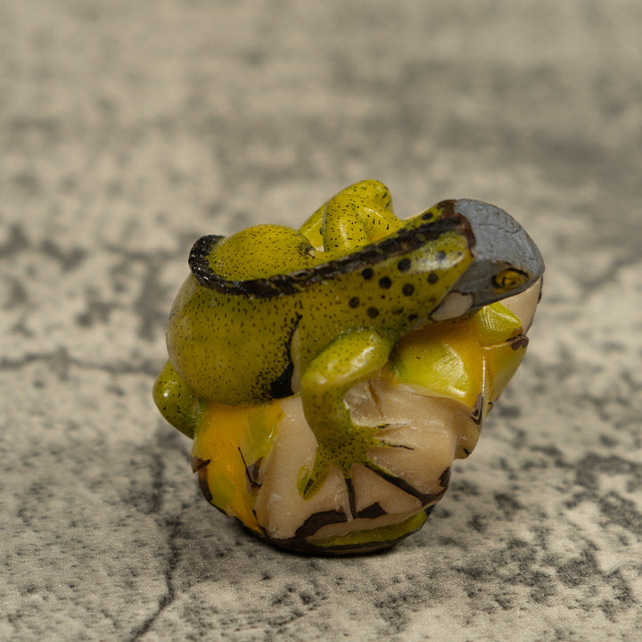 Iguana Lizard Reptile Tagua Carving