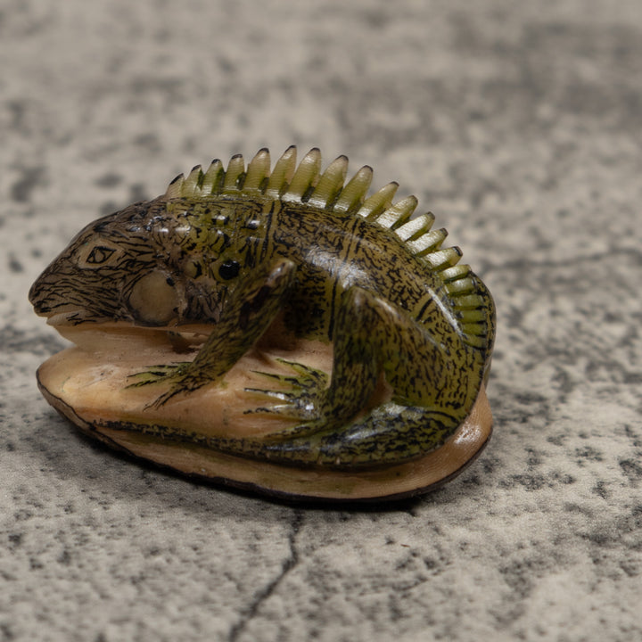 Iguana Lizard Reptile Tagua Carving