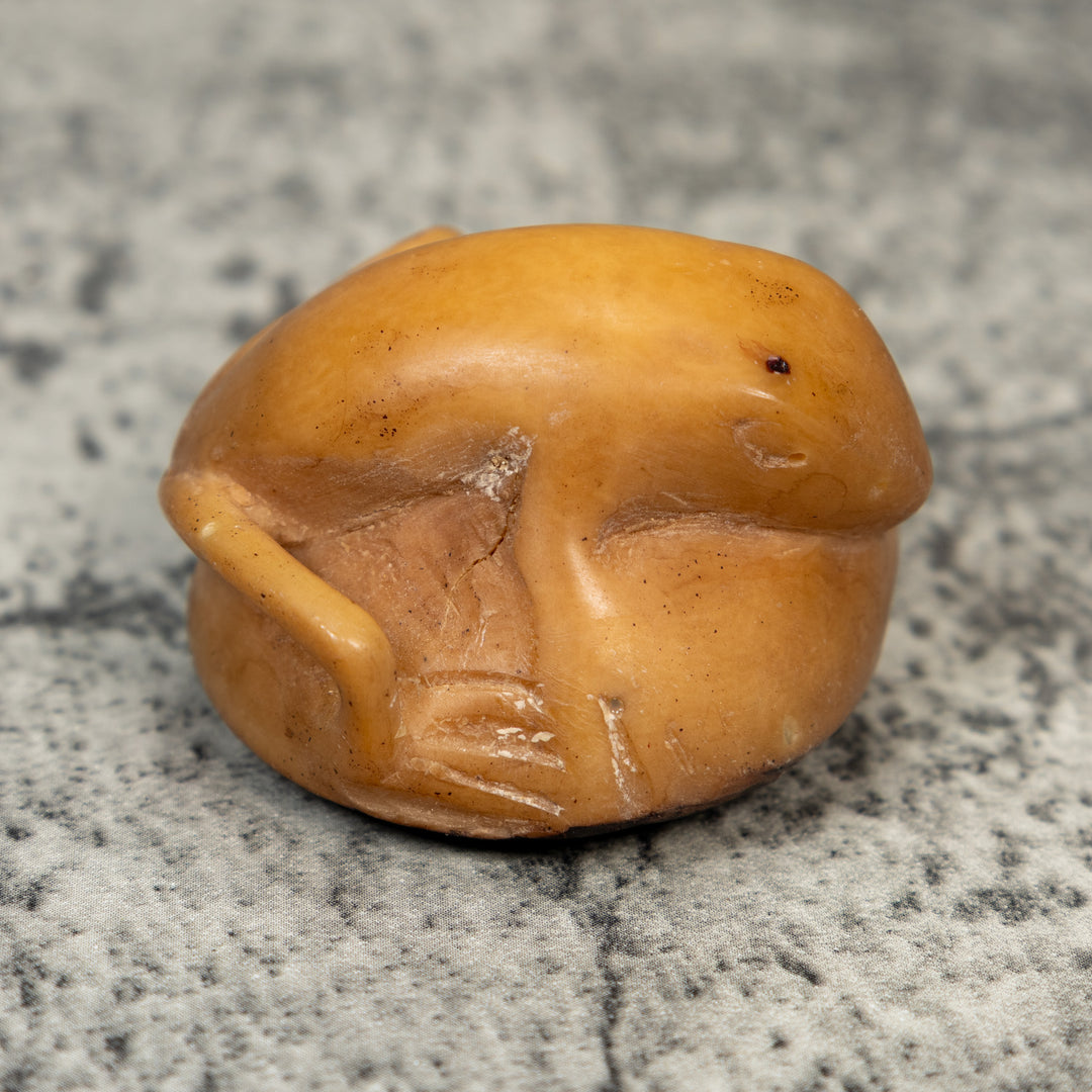 Vintage Frog Tagua Carving