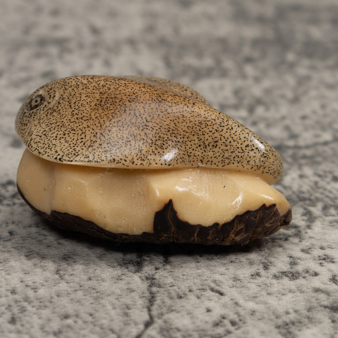 Vintage Stingray Tagua Carving