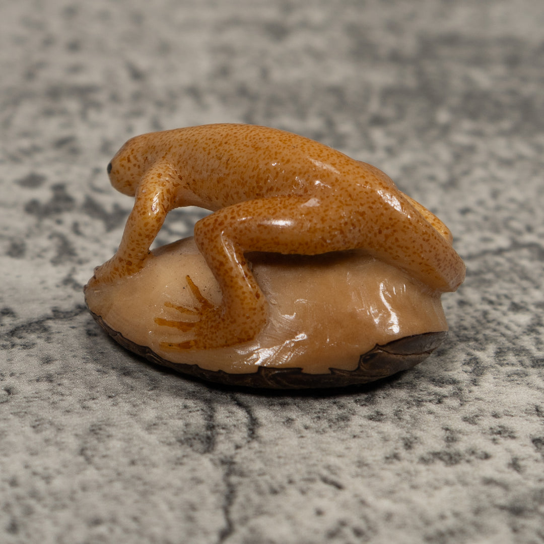 Vintage Gold And Brown Frog Tagua Carving