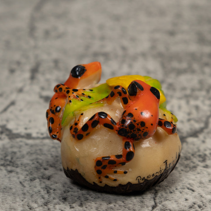 Orange And Black Double Poison Dart Frog Tagua Carving