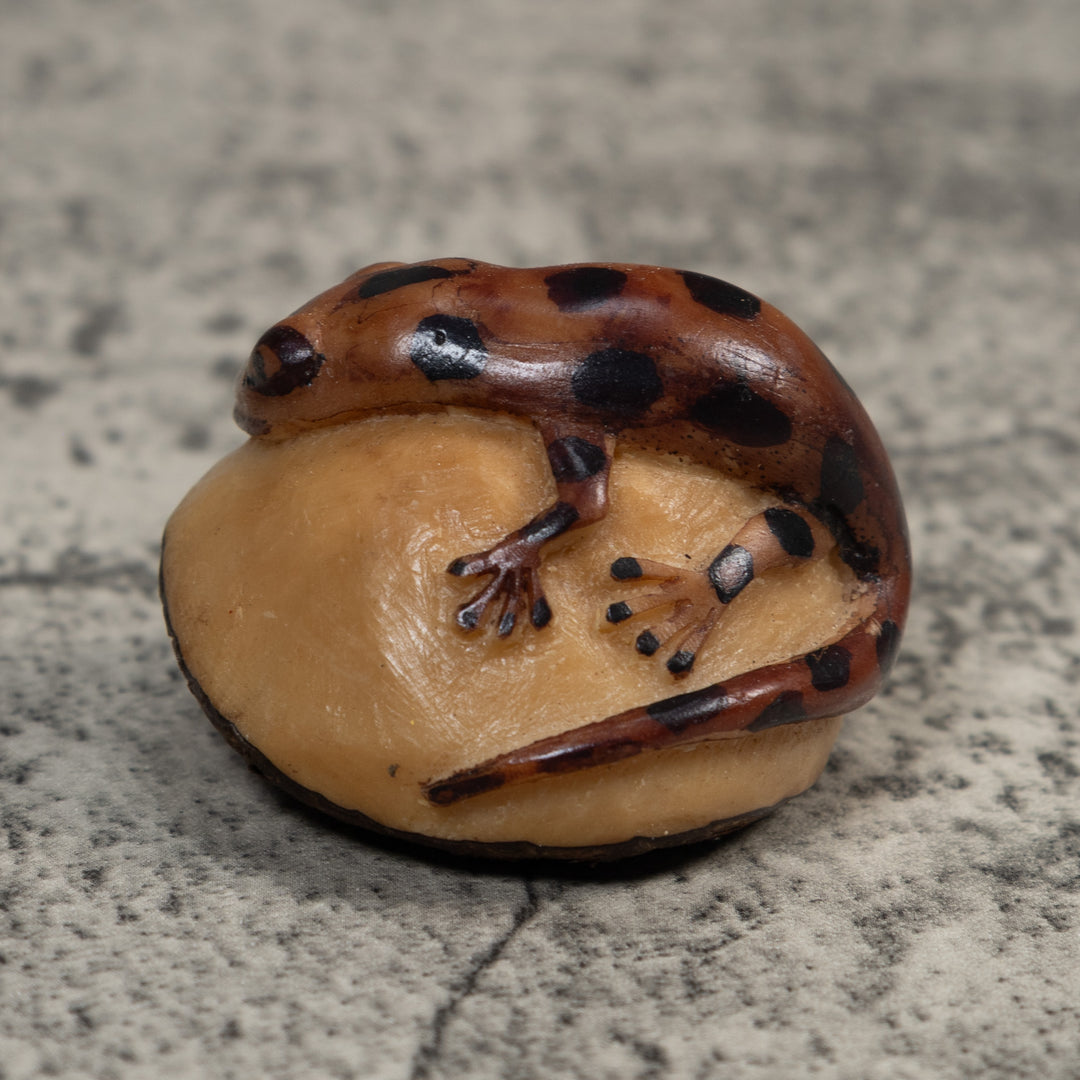 Brown And Black Gecko Lizard Tagua Carving