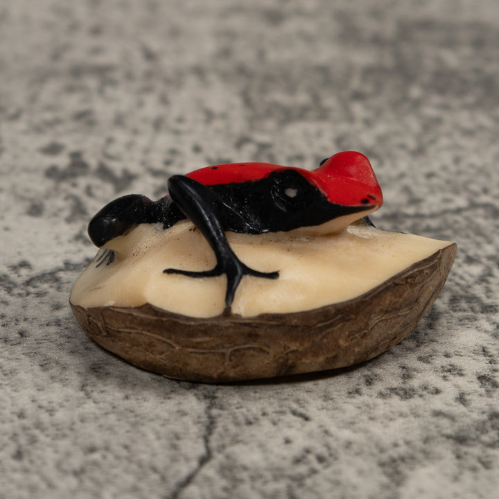 Vintage Black And Red Poison Dart Frog Tagua Carving