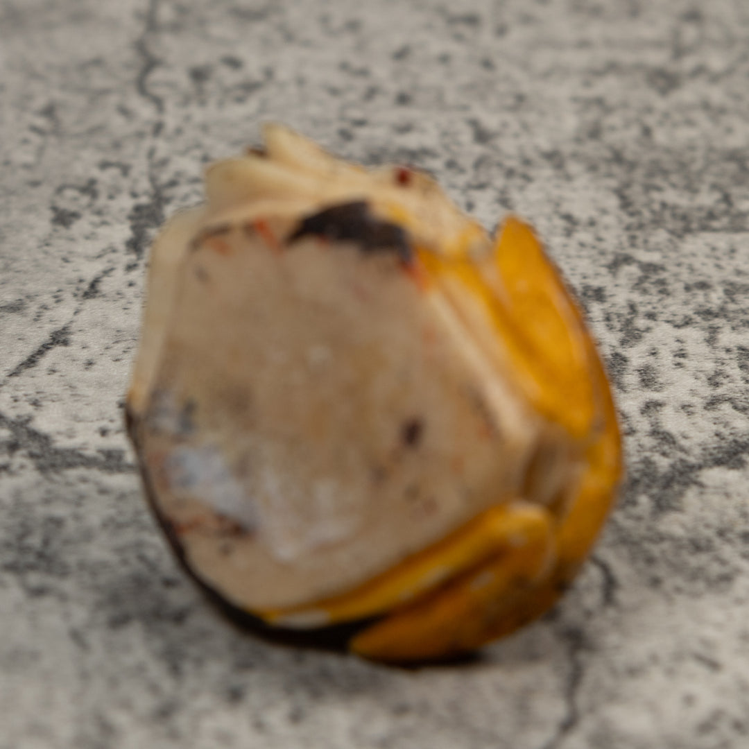 Sprinkled Orange Poison Dart Frog Tagua Carving