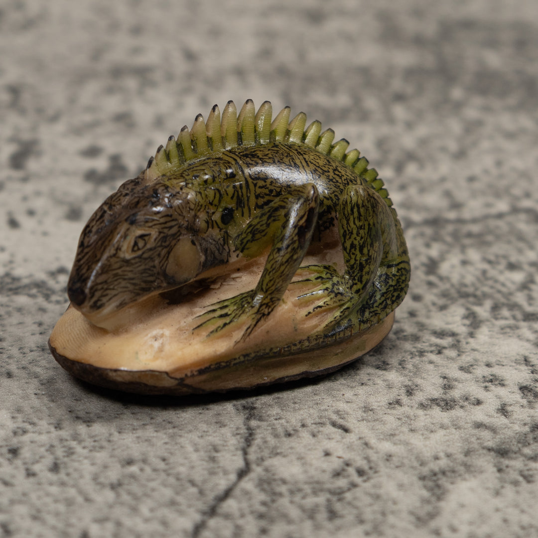 Iguana Lizard Reptile Tagua Carving