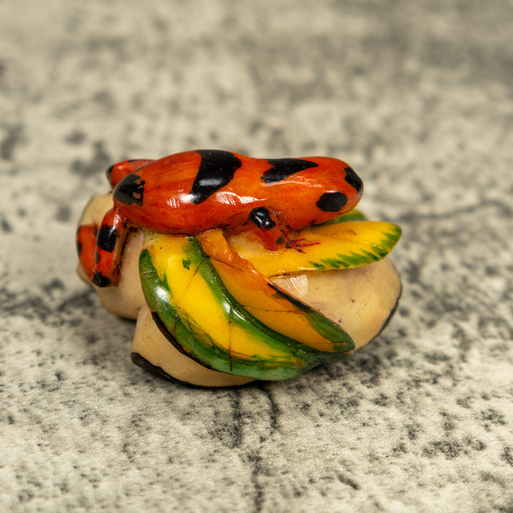Orange And Black Poison Dart Frog Tagua Carving