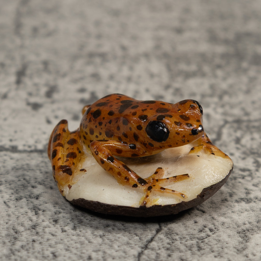 Brown And Black Jungle Frog Tagua Carving