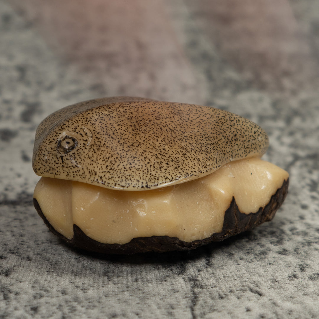 Vintage Stingray Tagua Carving