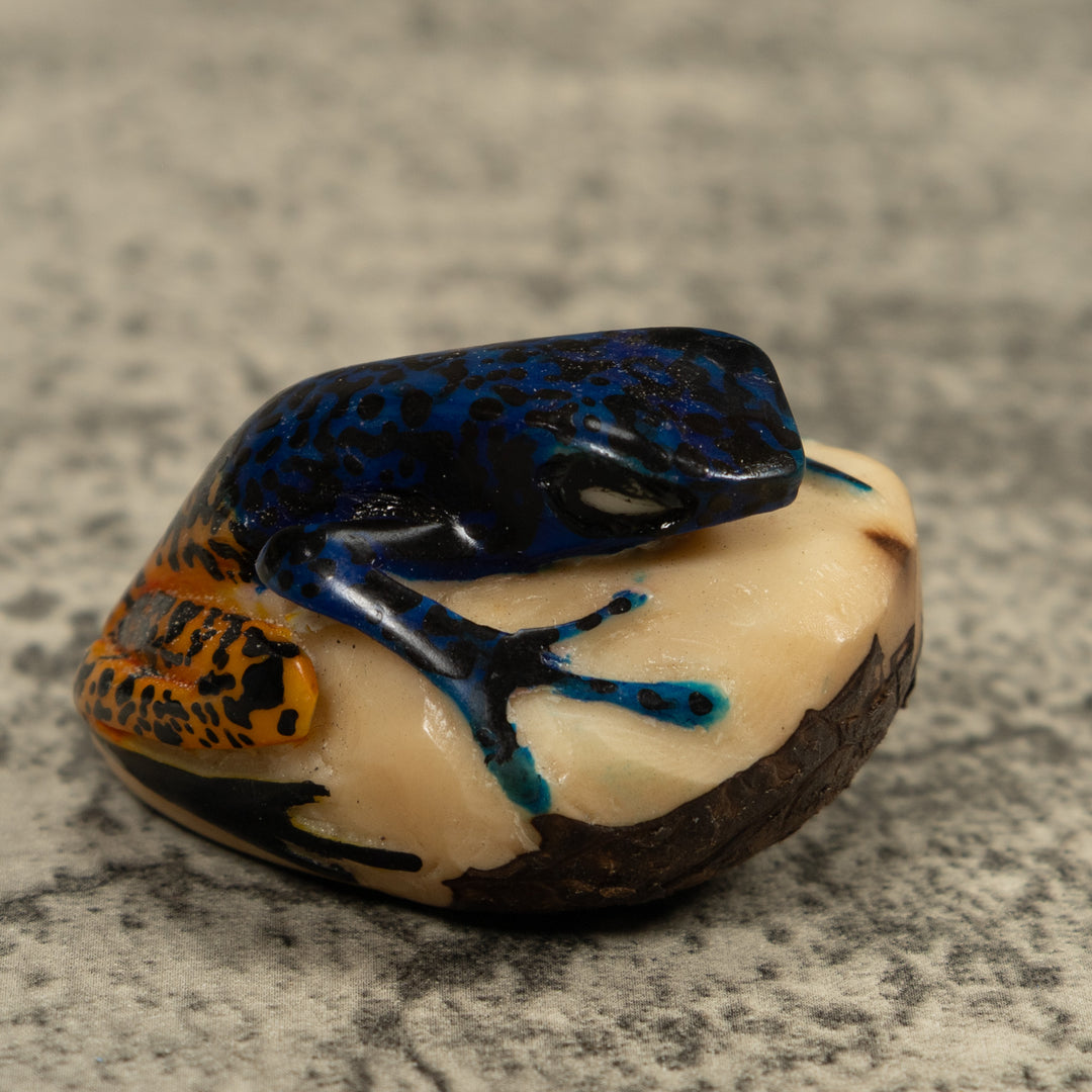 Poison Dart Frog Tagua Carving