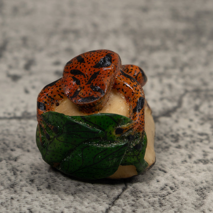 Vintage Red Black And Green Frog Tagua Carving