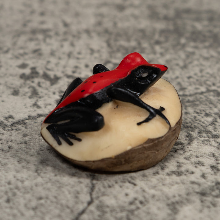 Vintage Black And Red Poison Dart Frog Tagua Carving