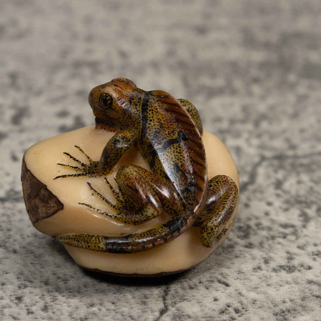 Brown And Black Iguana Lizard Tagua Carving