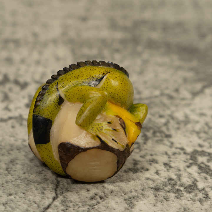 Iguana Lizard Reptile Tagua Carving