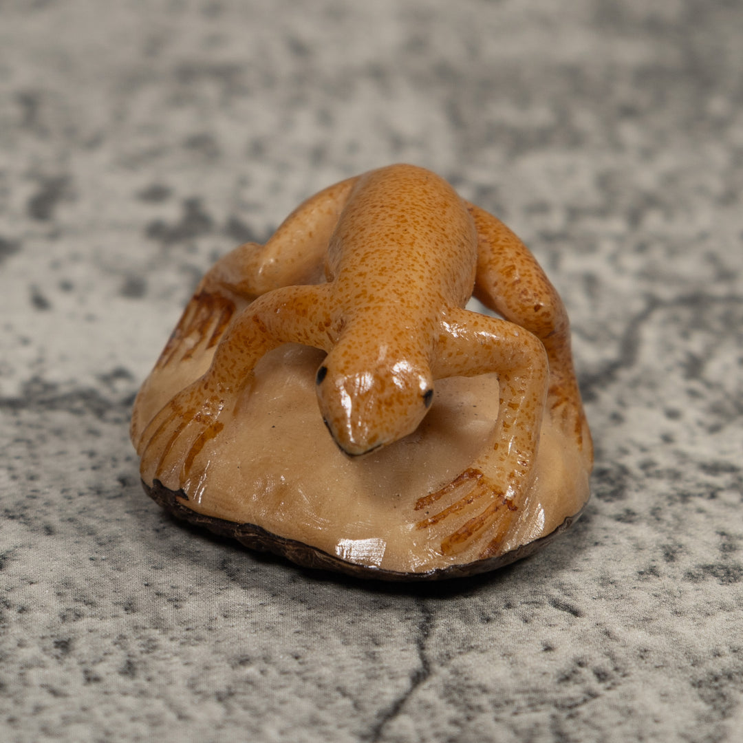 Vintage Gold And Brown Frog Tagua Carving