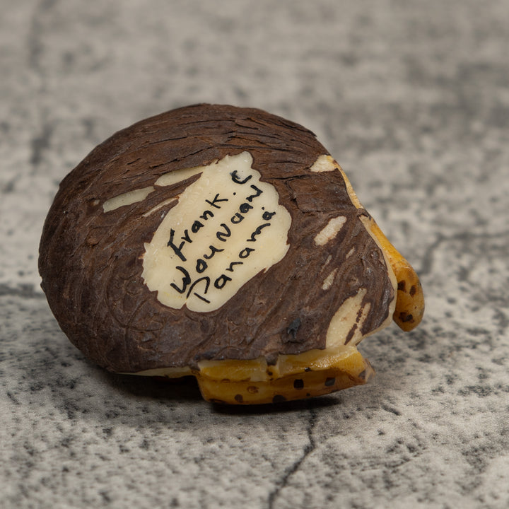 Brown And Black Jungle Frog Tagua Carving