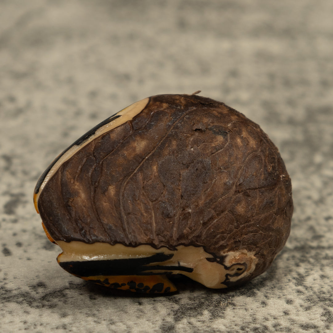 Poison Dart Frog Tagua Carving