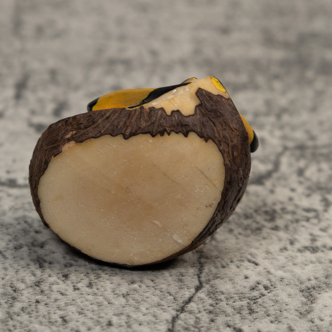 Vintage Black And Yellow Frog Tagua Carving