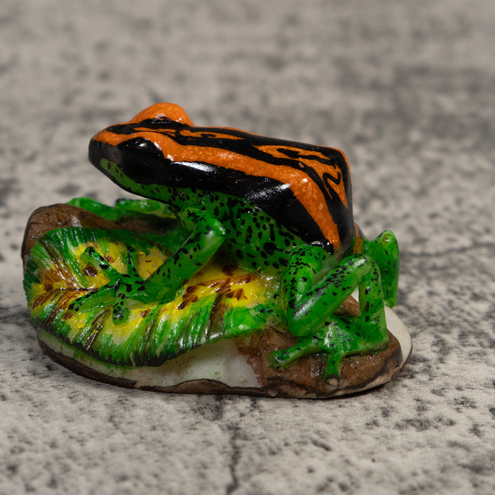 Orange Green And Black Poison Dart Frog Tagua Carving