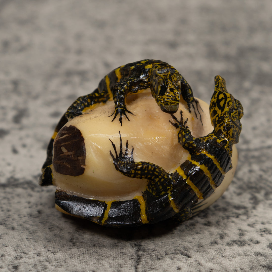 Double Alligator Crocodile Tagua Carving