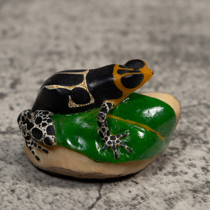 White Orange And Black Poison Dart Frog Tagua Carving