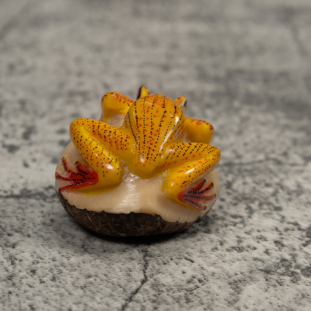 Vintage Gold Red And Black Frog Tagua Carving