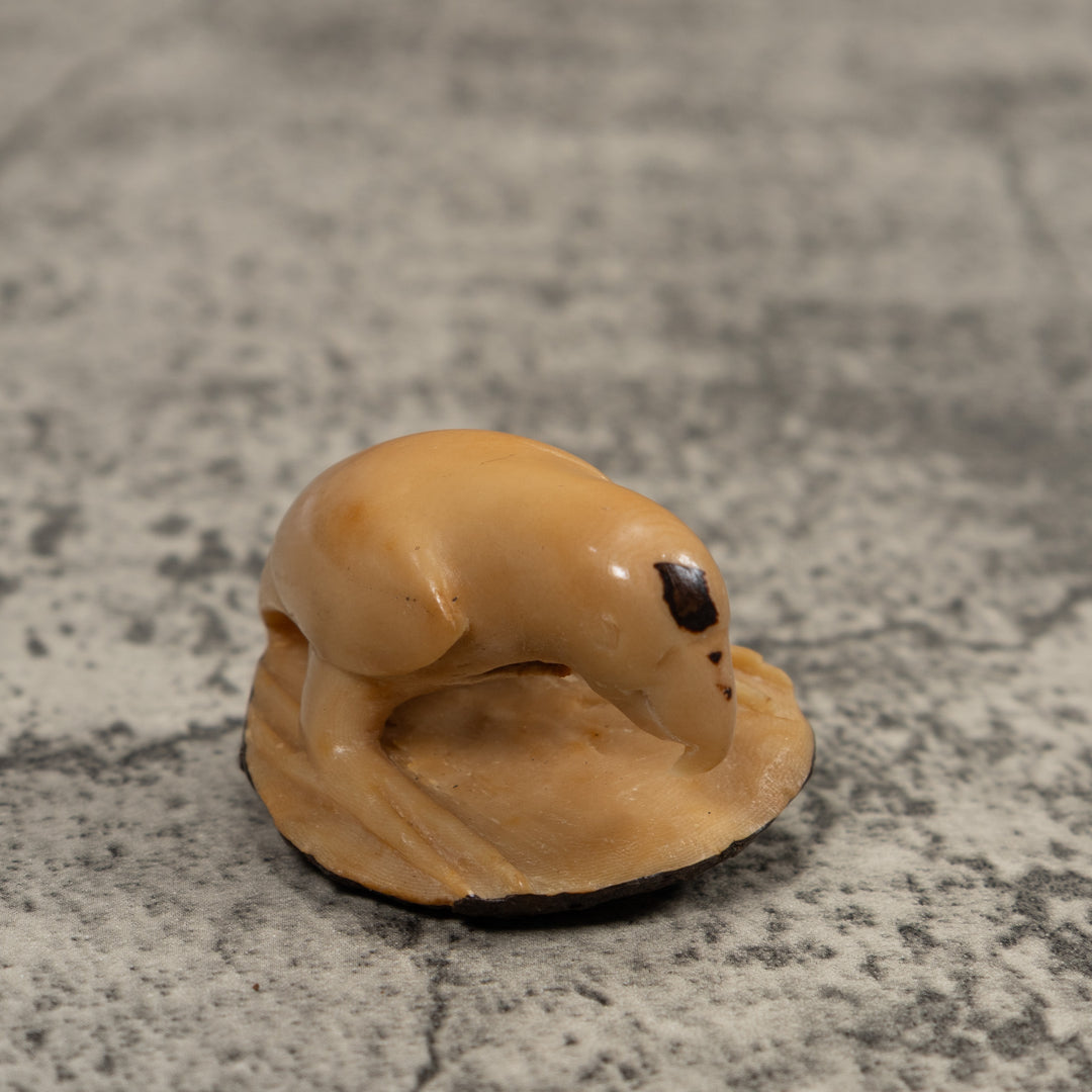 Vintage White Parrot Bird Tagua Carving