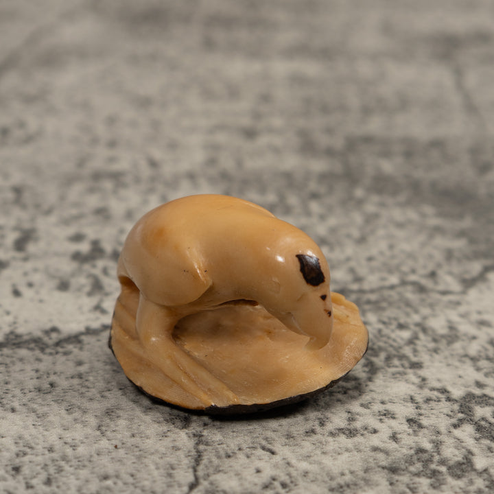 Vintage White Parrot Bird Tagua Carving