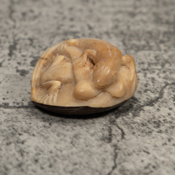 Vintage Iguana And Frog Tagua Carving