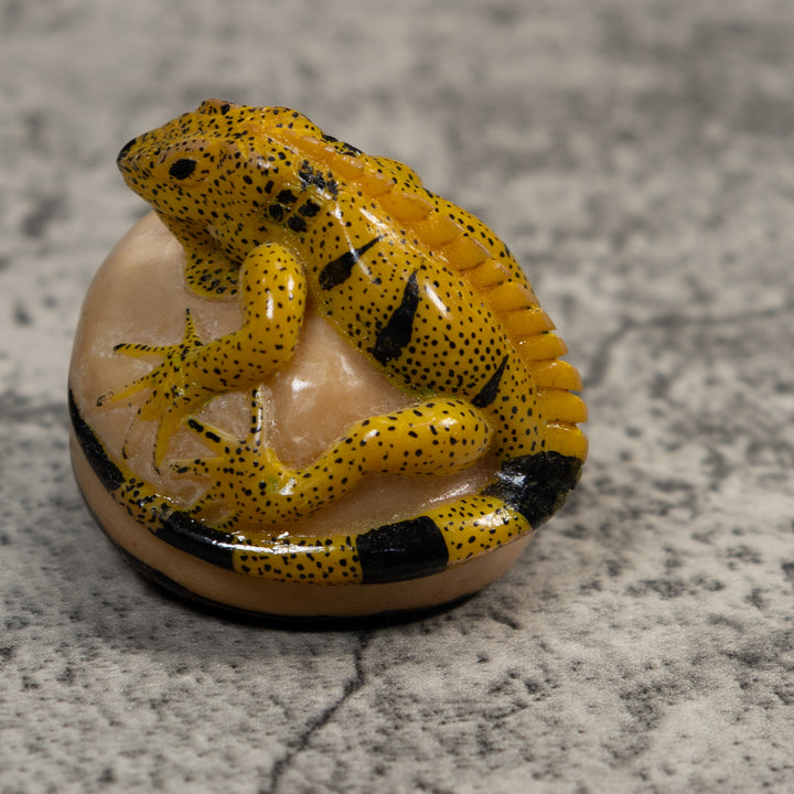 Magnificent Iguana Lizard Tagua Carving
