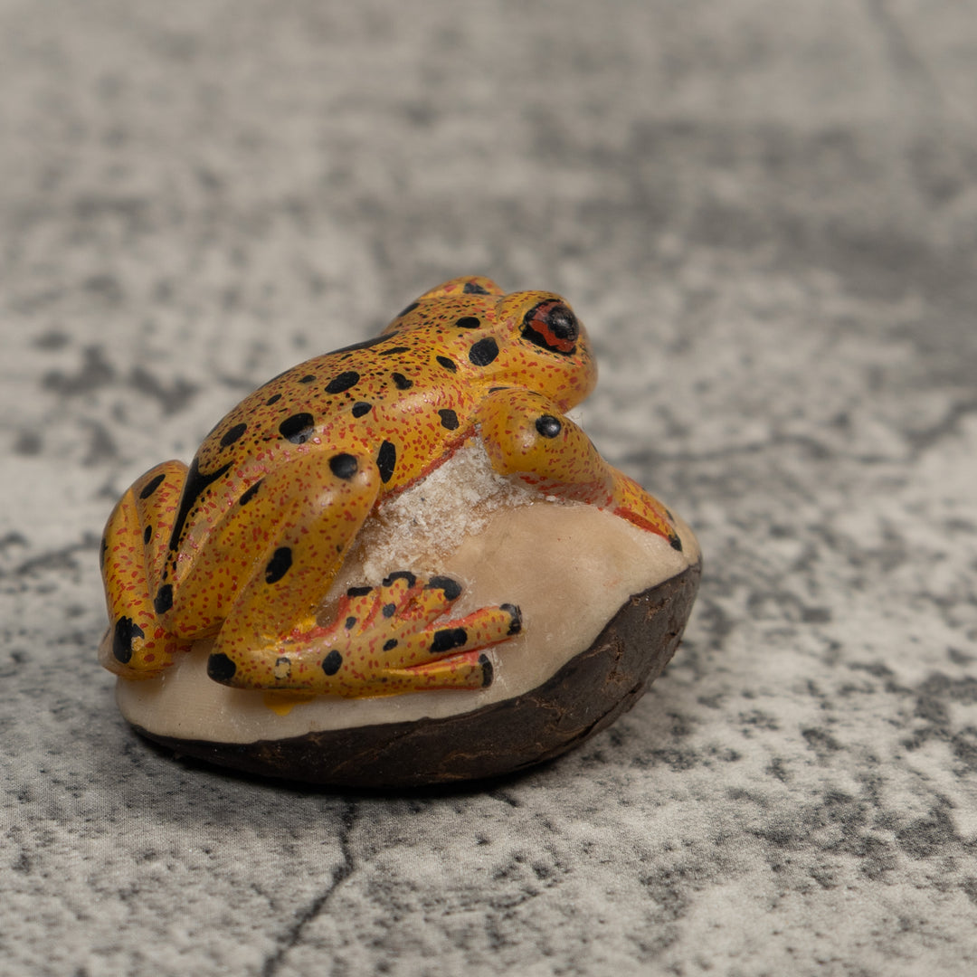 Gold And Black Poison Dart Frog Tagua Carving