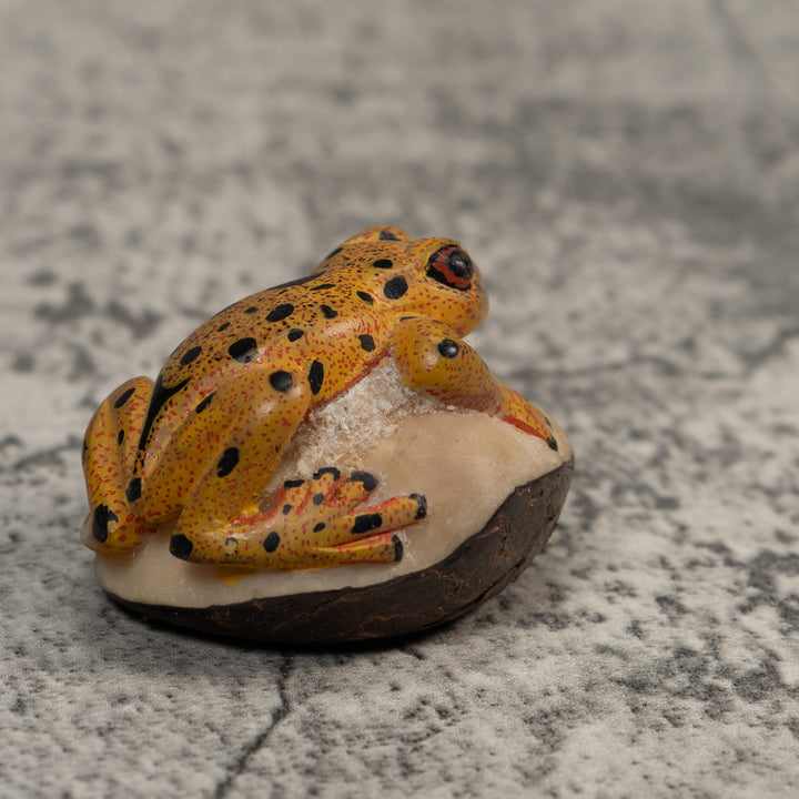 Gold And Black Poison Dart Frog Tagua Carving