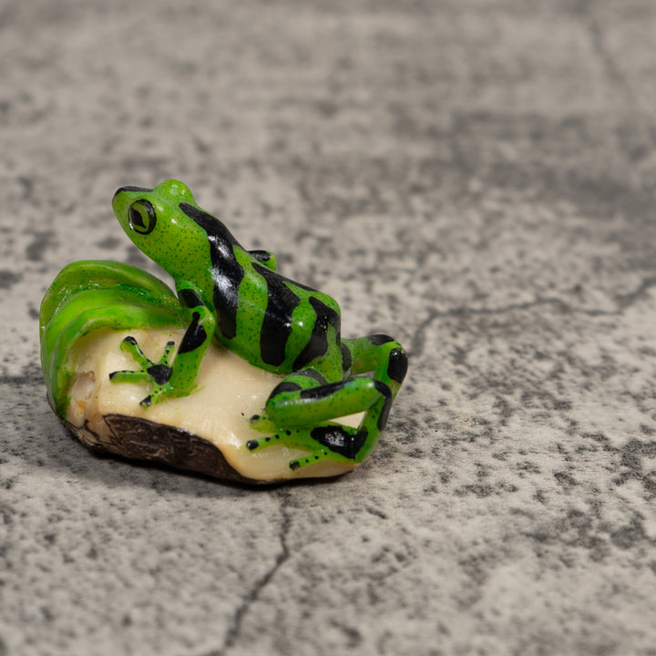 Green And Black Poison Dart Frog Tagua Carving